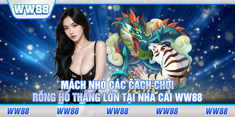 cách chơi rồng hổ